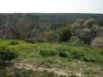 DSCN1045.JPG