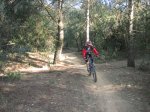 LA GARIGA-DH L'AMETLLA 003.jpg