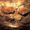 740451[1].gif