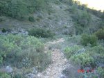 ds_DSC02834.jpg