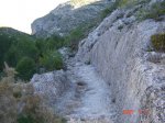 ds_DSC02838.jpg