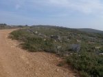 Imagen016.jpg