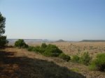 DSCN3141.JPG