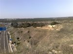 15032009234.jpg