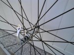 DSC00025.jpg