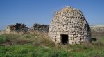 P1010016.mitad.jpg