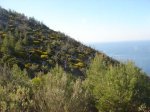 SVicent-SesFormigues 16.jpg