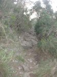 SVicent-SesFormigues 36.jpg