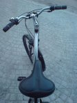 DSC00743.jpg