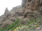 DSC03422.jpg