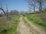 IMG_3431.jpg