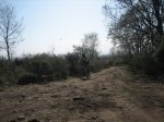 IMG_3434.jpg
