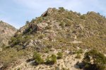CREVILLENTE 200914.jpg