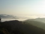 DSC07604.jpg