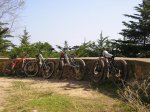 salida 16-03-09 (7) [Resolucion de Escritorio].jpg