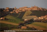 ta09st04af-6montelupone800[1].jpg