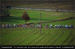 ta09st04-green[1].jpg