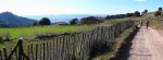 P1150017-19+ (Large).jpg