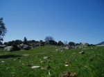 P1010216.jpg