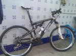 schwalbe 2.jpg