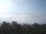 DSCF1295.JPG