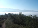 DSCF1316.JPG
