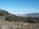 DSCF1347.JPG