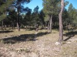 DSCF1342.JPG