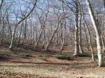 Berberana 021.jpg