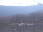 Foto15.JPG