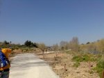 Imagen033.jpg