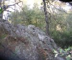 DSCN0474.JPG