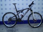 schwalbe 1.jpg