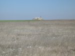 IMG_3503.JPG