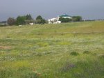 mini-IMG_4435.JPG