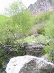 IMG_1278_resize.JPG