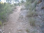 DSCF0368.JPG