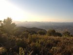 DSCF0408.JPG