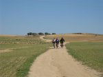 190309mtb 013.jpg