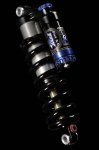 dhx_09_rearshox5.jpg