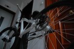 DSC_0846.jpg