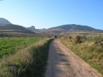 DSCN4121.JPG