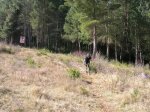 DSCN4148.JPG