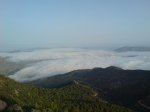 DSC00261.jpg