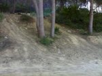 20032009398.jpg