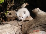DSC05595.JPG