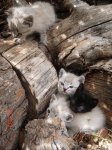DSC05607.JPG