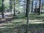 mini-IMG_0269.JPG
