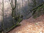 mini-IMG_0270.JPG