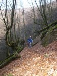 mini-IMG_0271.JPG